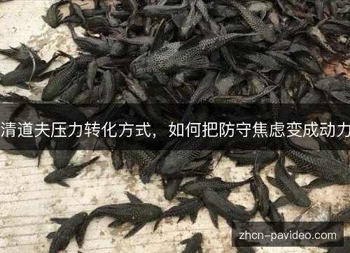 清道夫压力转化方式，如何把防守焦虑变成动力